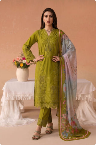 QAIS - ZP-81 - OLIVE