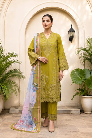QAIS - ZP-81 - OLIVE