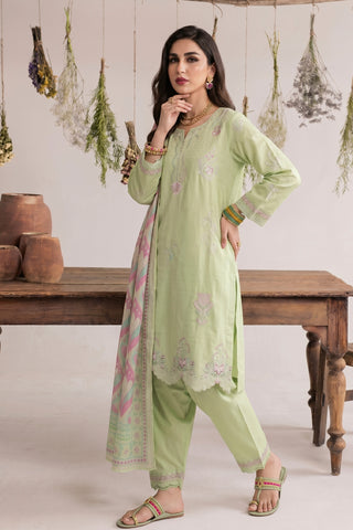 NAJWA - ZP-65 - MINT