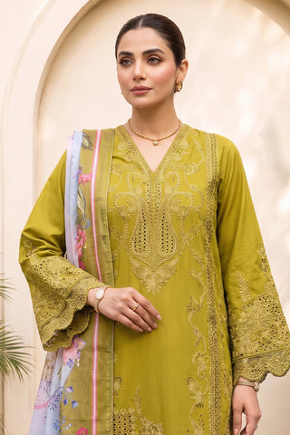 QAIS - ZP-81 - OLIVE