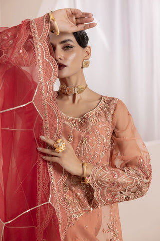 NOSHEEN - US-645