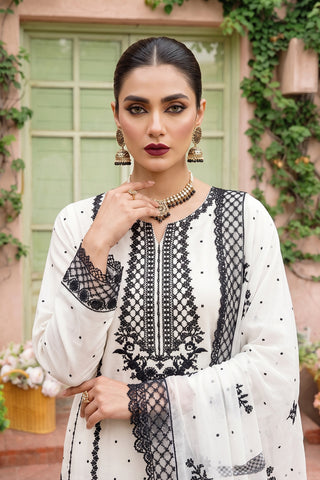 NOIR - ZCP-06 - WHITE