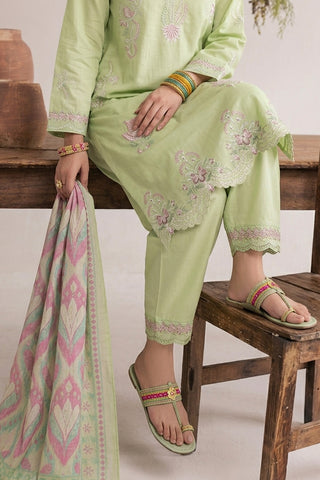 NAJWA - ZP-65 - MINT