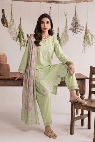 NAJWA - ZP-65 - MINT