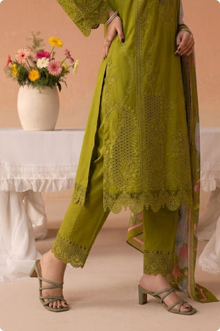 QAIS - ZP-81 - OLIVE