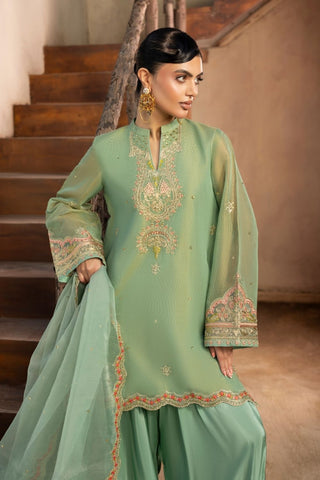 NAYAB - DF-47 - MINT