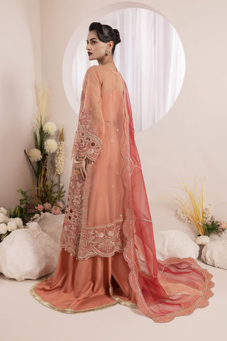 NOSHEEN - US-645