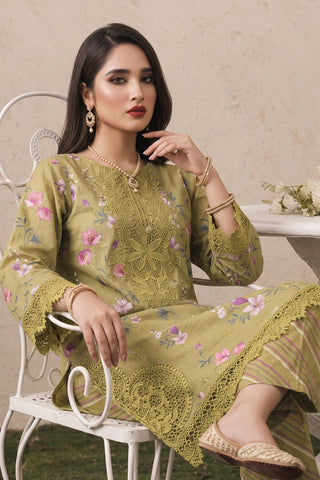 ZAITOON -PL-20 - OLIVE