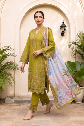 QAIS - ZP-81 - OLIVE