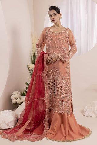 NOSHEEN - US-645