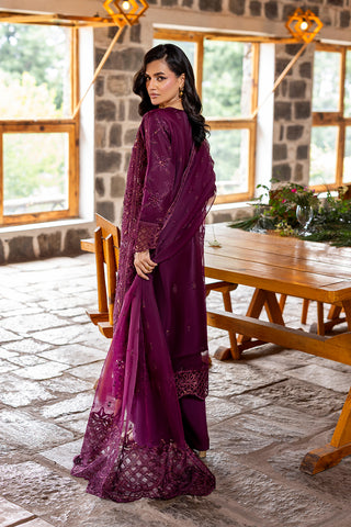 FALAH - POST-1-01 - PLUM
