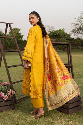 ZELI - AK-5060 - MUSTARD