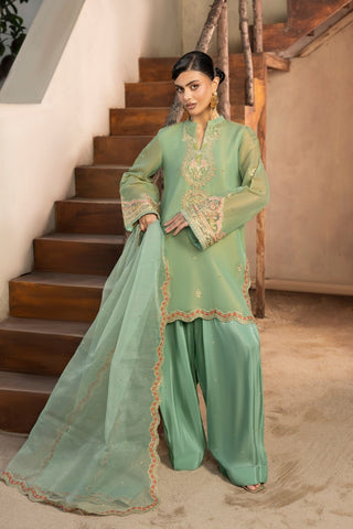 NAYAB - DF-47 - MINT