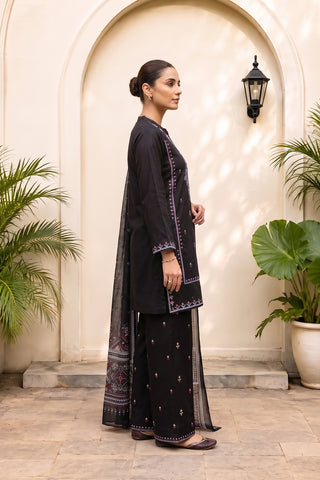 ROSHANAY - ZP-66 - BLACK