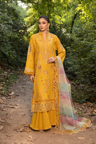 NORIYA - UN-103 - MUSTARD