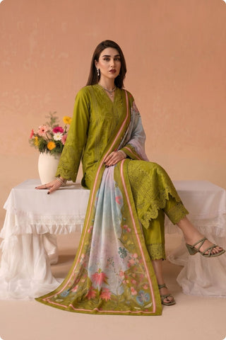 QAIS - ZP-81 - OLIVE