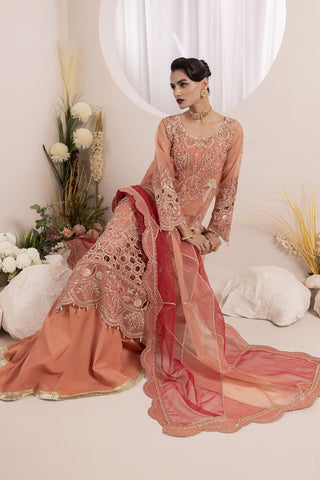 NOSHEEN - US-645