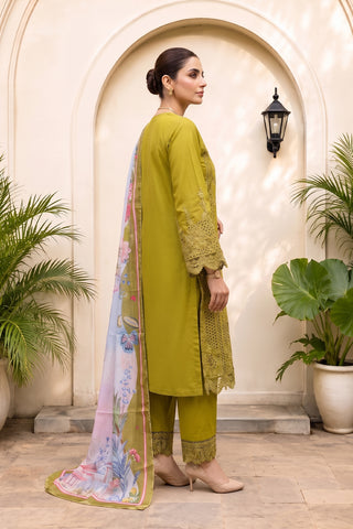 QAIS - ZP-81 - OLIVE