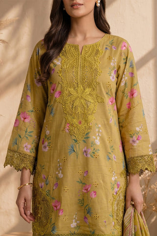 ZAITOON -PL-20 - OLIVE