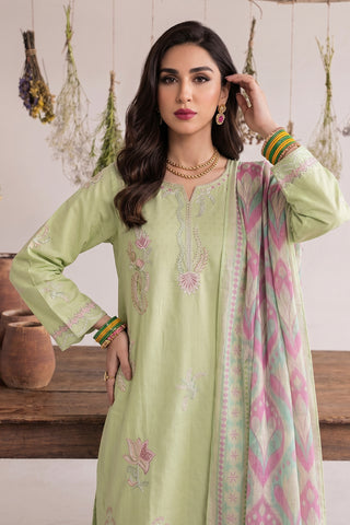 NAJWA - ZP-65 - MINT