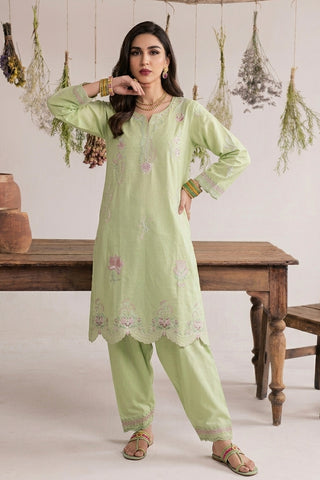 NAJWA - ZP-65 - MINT